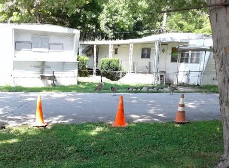 Madison Mobile Home Community