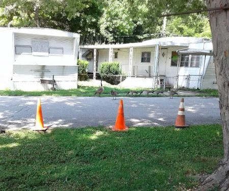 Madison Mobile Home Community