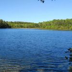 Nickerson State Park - Area 6