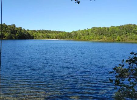 Nickerson State Park - Area 6