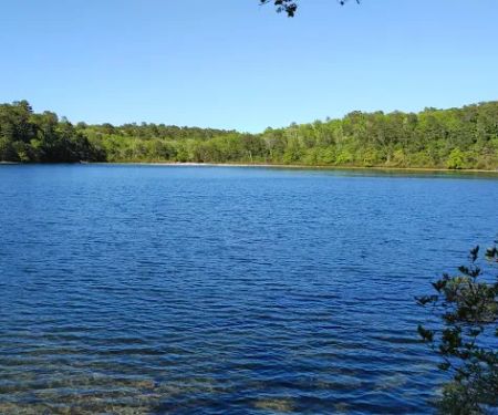 Nickerson State Park - Area 6