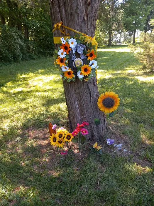 Country Acres MHC Picture 8