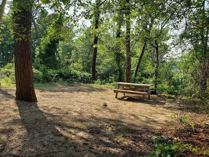 Camping Area 6 Picture 1