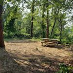 Camping Area 6