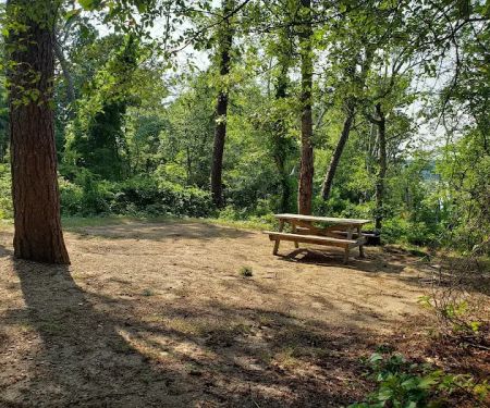 Camping Area 6