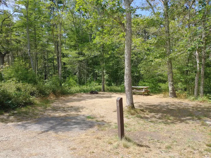 Camping Area 6 Picture 7