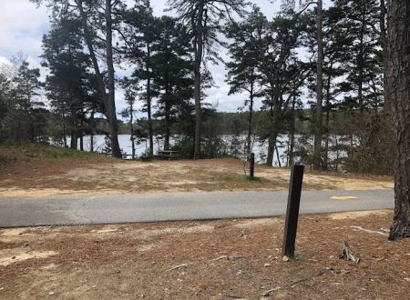 Nickerson State Park - Area 5