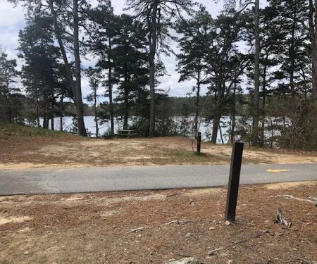 Nickerson State Park - Area 5