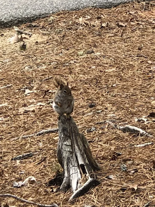 Nickerson State Park - Area 5 Picture 2