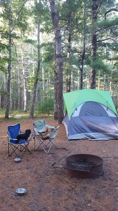 Nickerson State Park - Area 7 Picture 2