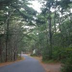 Nickerson State Park - Area 7