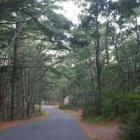 Nickerson State Park - Area 7 ico
