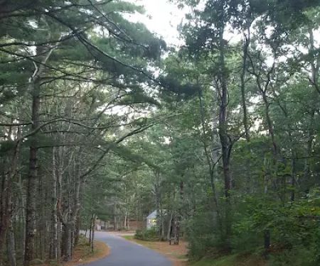 Nickerson State Park - Area 7