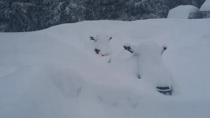 Bear Mountain Village Campground Picture 2