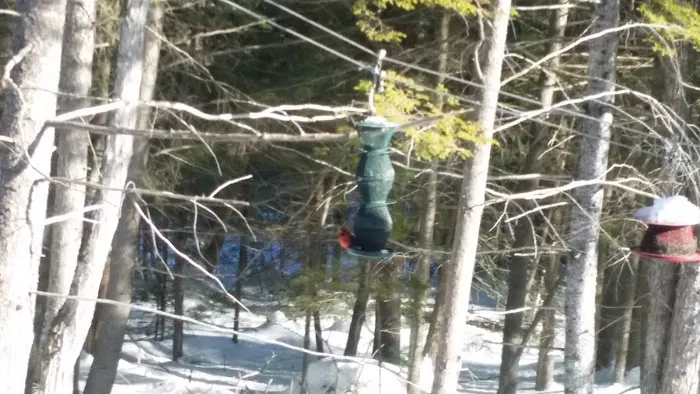 Bear Mountain Village Campground Picture 4