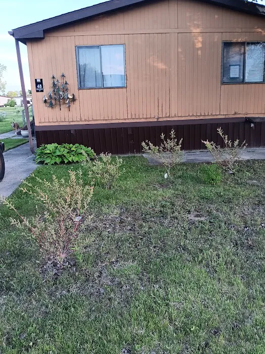 Tudor Estates Picture 8
