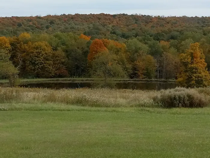 Campers Hill Picture 3