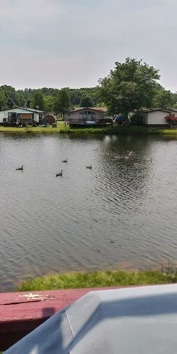Oakland Estates Mobile Home Park Picture 8