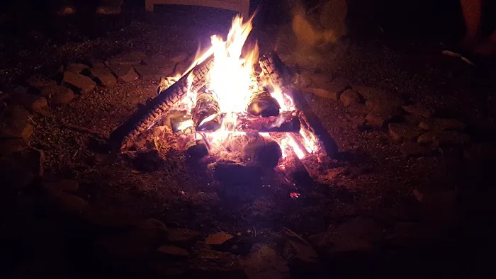 Paradise Bay Park Family Campground Picture 7