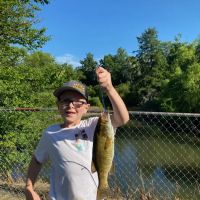 Savidge's Creekside Campgrounds ico