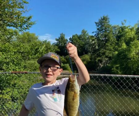Savidge's Creekside Campgrounds