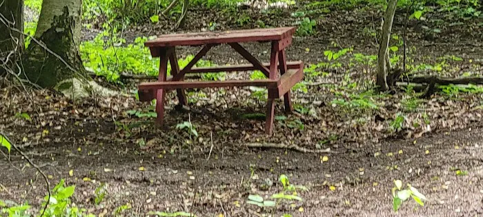 Savidge's Creekside Campgrounds Picture 6