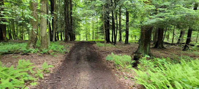 Savidge's Creekside Campgrounds Picture 4