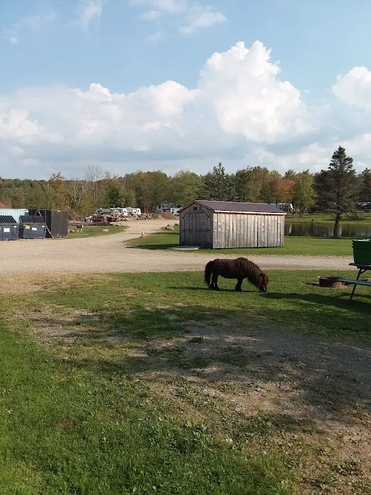Family Affair Campground Picture 2