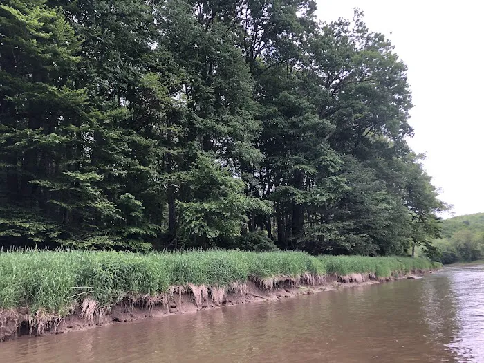 Marlowe's Scenic River Campground Picture 1