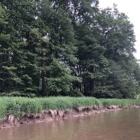 Marlowe's Scenic River Campground ico