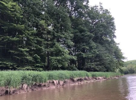Marlowe's Scenic River Campground