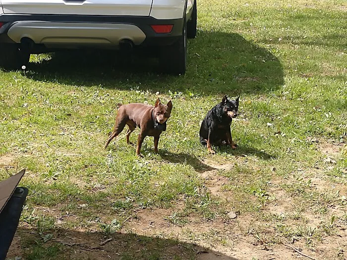 Marlowe's Scenic River Campground Picture 6