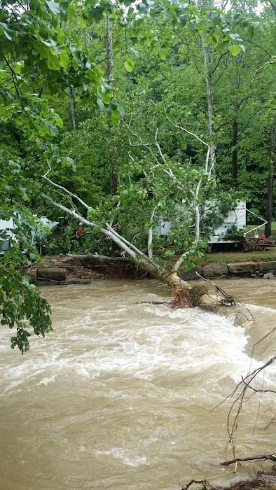 Marlowe's Scenic River Campground Picture 7