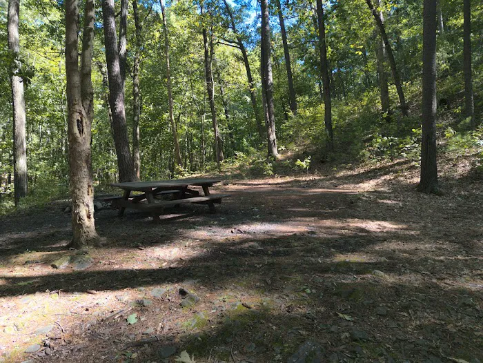 Camp Run Campground Picture 6