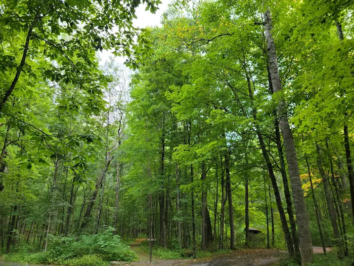Brandywine Lake Campground Picture 7