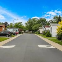 Dequindre Estates ico