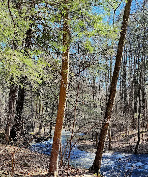 Hone Quarry Campground Picture 6