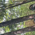 Stokesville Campground