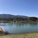 Stoney Creek Resort and Campground