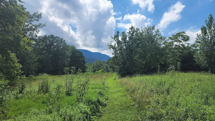 Devils Backbone Three Ridges Haven Picture 6