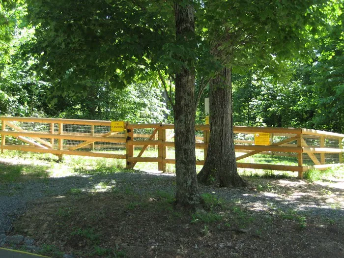 Charlottesville KOA Holiday Picture 4