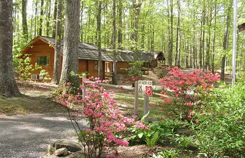 Charlottesville KOA Holiday Picture 5