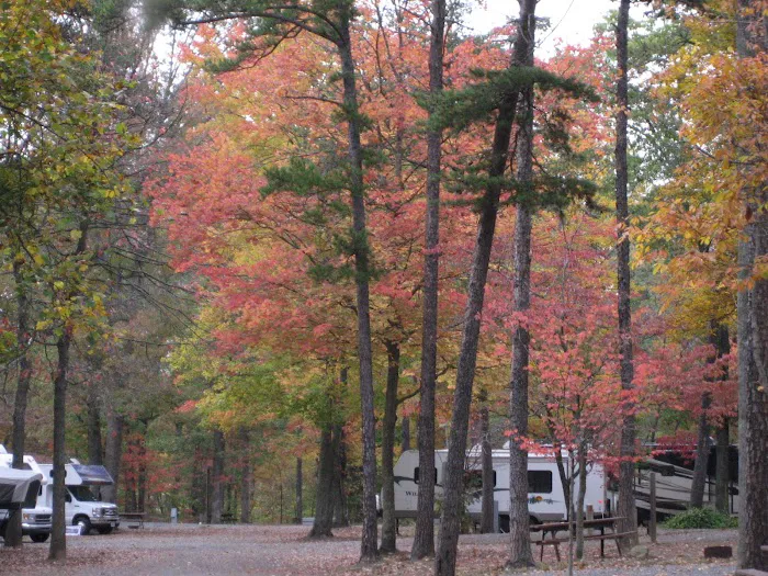 Charlottesville KOA Holiday Picture 10