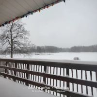 White Creek Country Estates ico