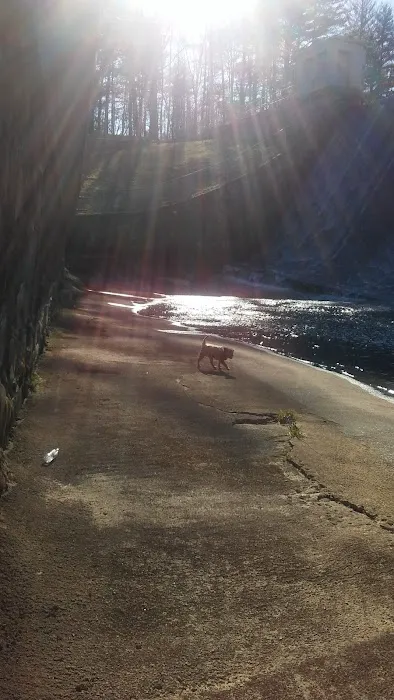 Staunton Dam Day Use Area Picture 10