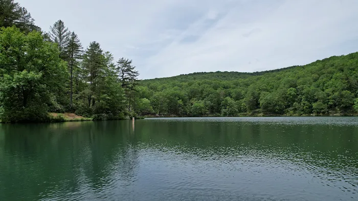 Staunton Dam Day Use Area Picture 8