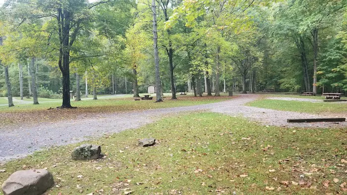 North River Campground Picture 5