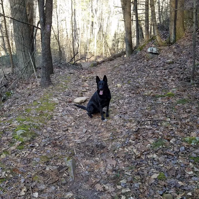 North River Campground Picture 4