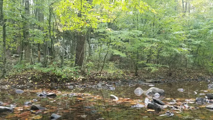North River Campground Picture 1