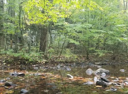 North River Campground